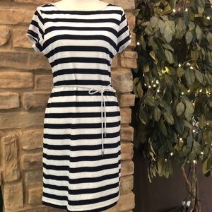 Sharagano striped mesh shift dress rope belt 12